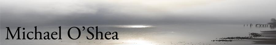 Cormorantsandfogwithtext