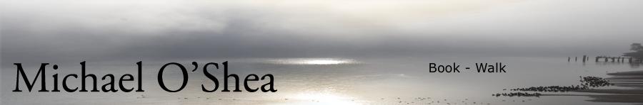 Cormorantsandfogwithtext