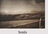 Senils